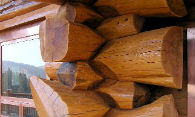 Feature Image 3