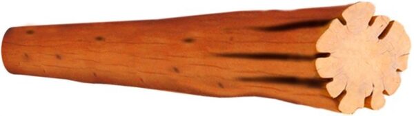 western red cedar log